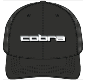 Cobra 3D Tour Cap - Puma Black/Gray White