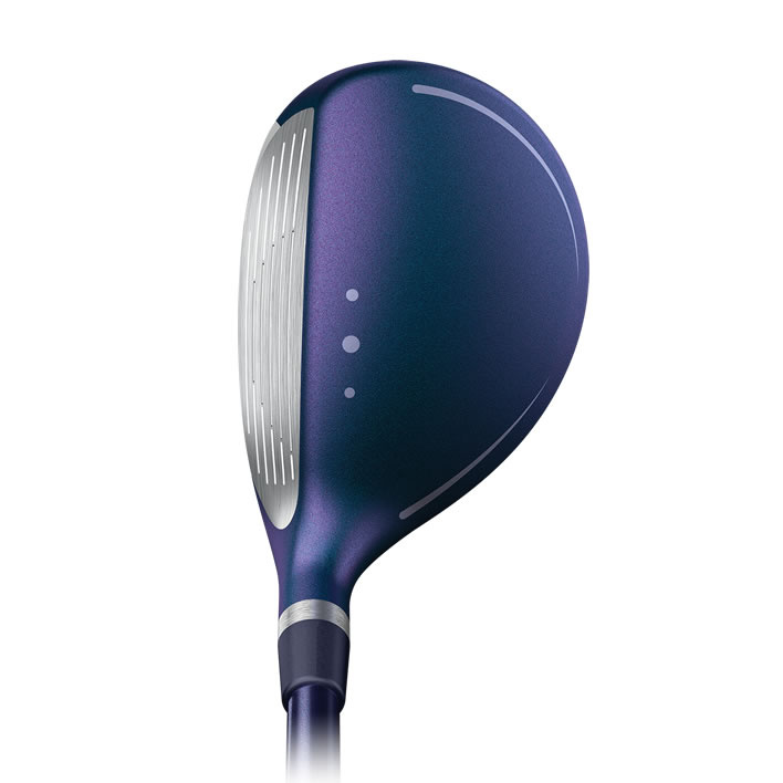 Ping G Le4 J�rnset Custom - F�rhandsbest�ll! Leverans fr�n 26 mars!