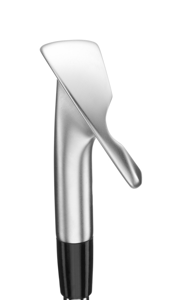 Mizuno Pro S-1 J�rnset Custom