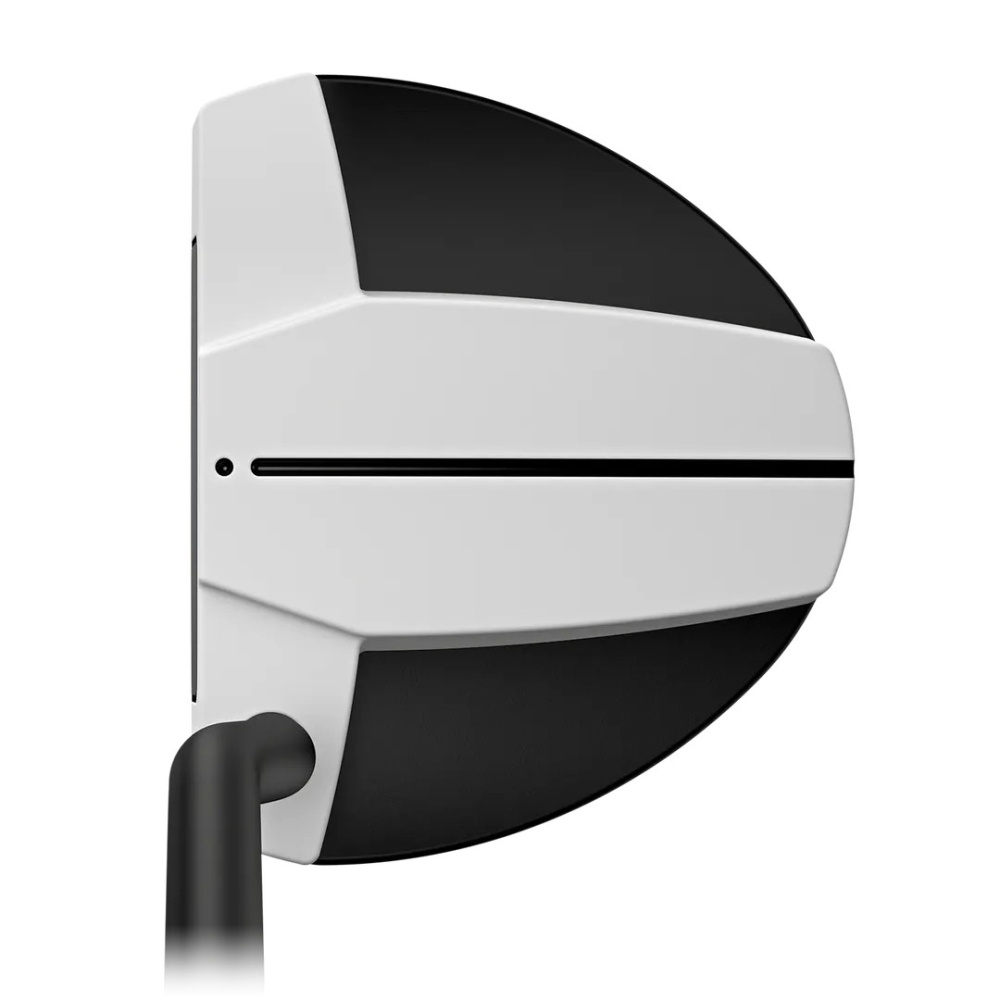Ping Scottsdale Tec 2026 Hayden Putter