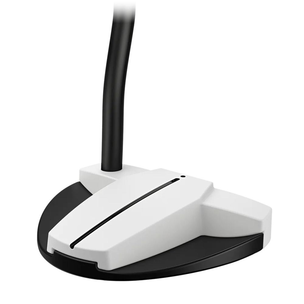 Ping Scottsdale Tec 2026 Hayden Putter